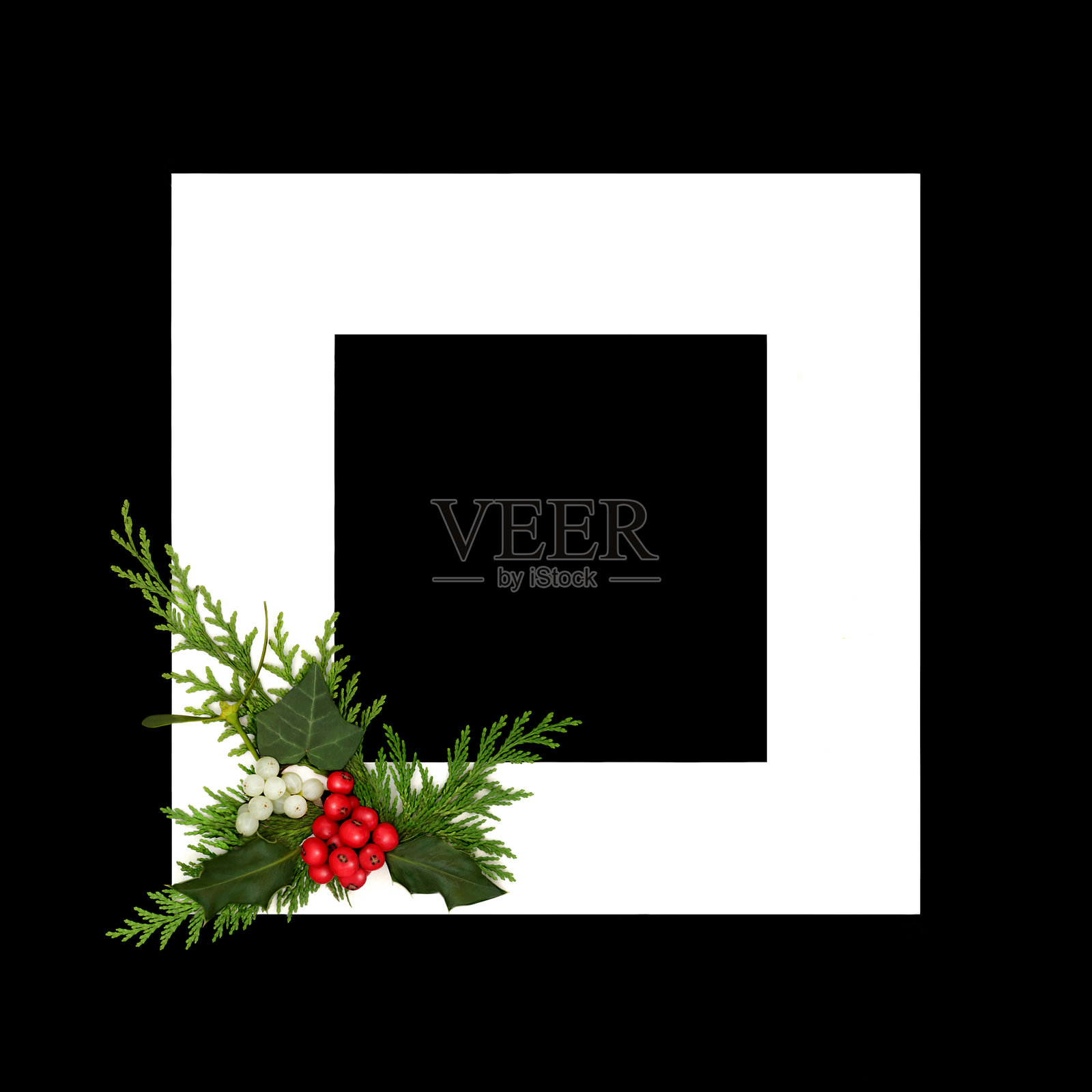 冬至圣诞植物背景边框照片摄影图片