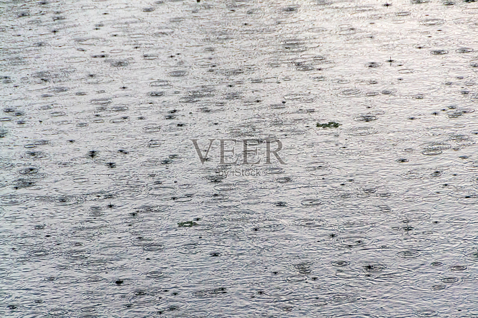 雨滴落在水面上照片摄影图片