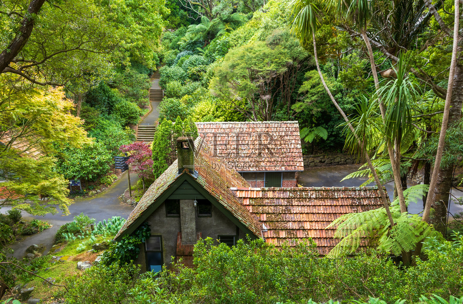 惠灵顿植物园和卡特天文台照片摄影图片