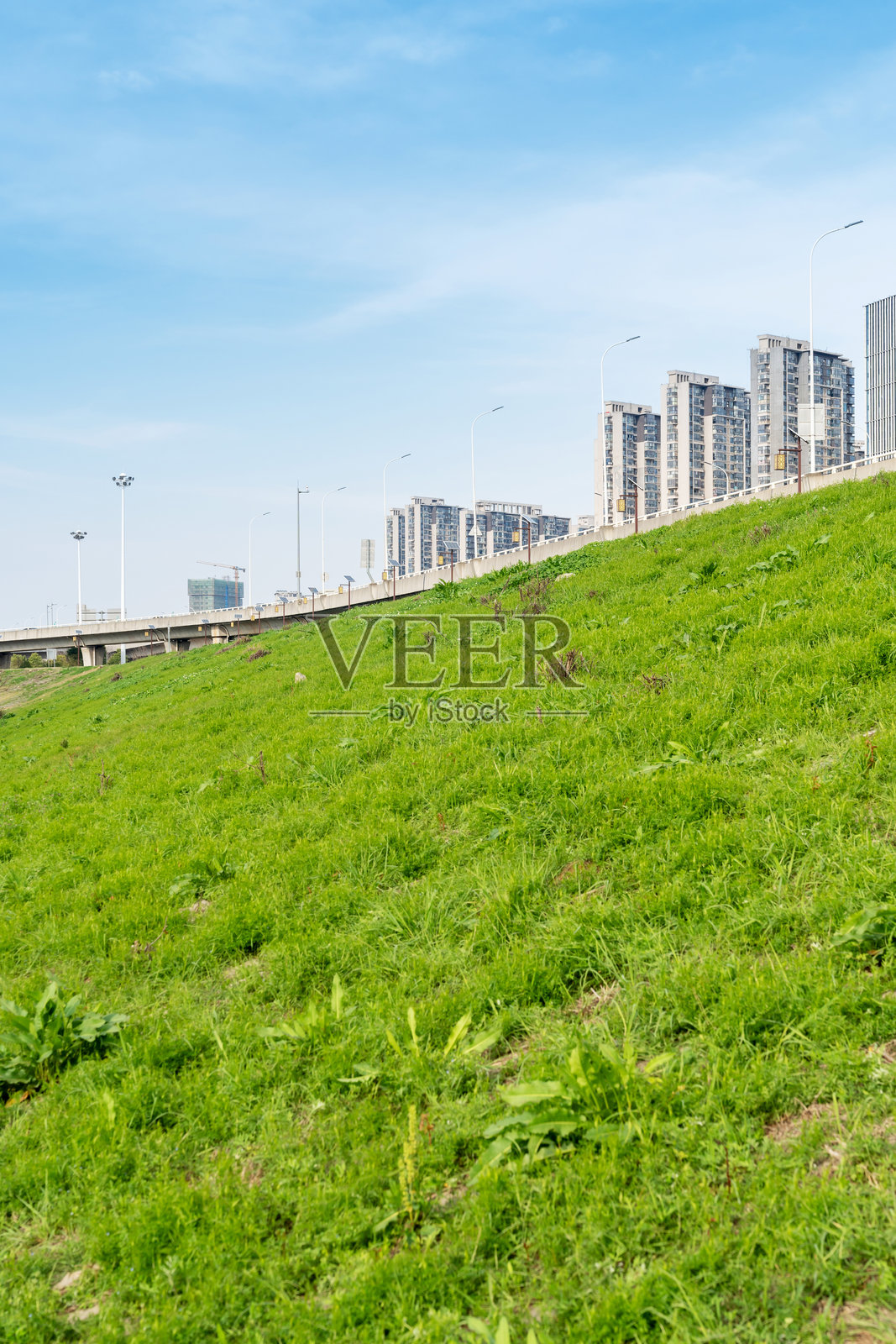 美丽的城市公园全景照片摄影图片