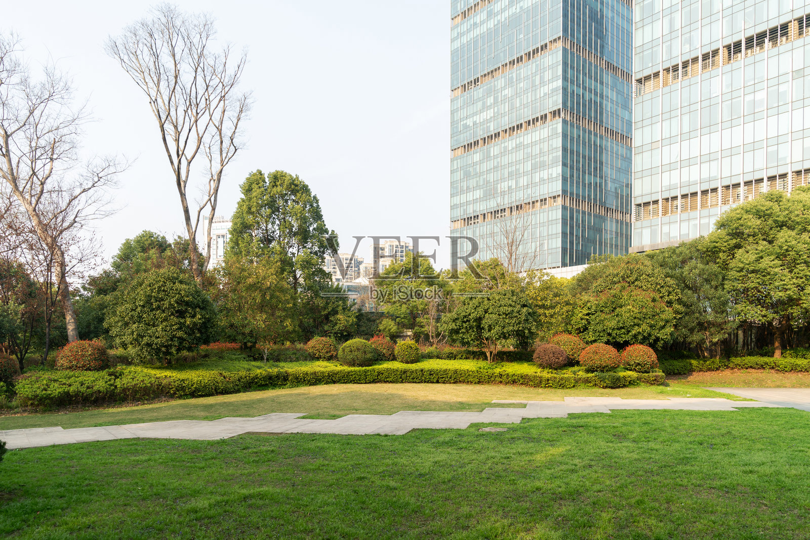 上海现代建筑背景下的城市公园照片摄影图片