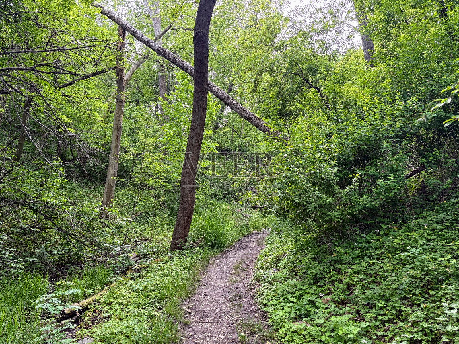 威斯康星州密尔沃基的北角灯塔峡谷小径照片摄影图片