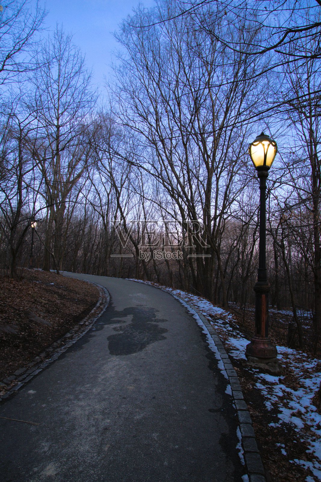 一盏单独的路灯在林区的小路上照亮。照片摄影图片