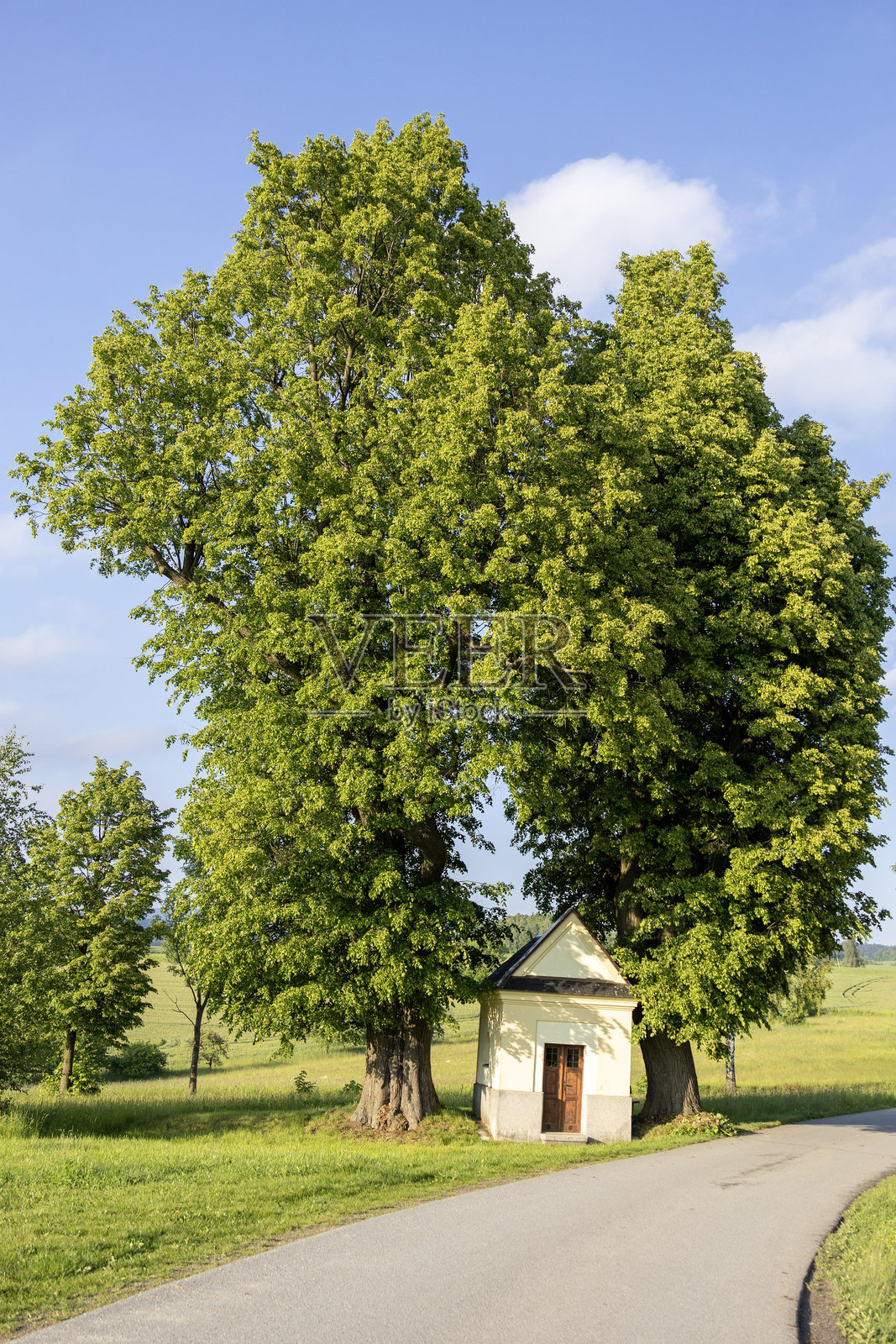 历史朝圣路线上的传统小教堂,矗立在两棵古老的菩提树下照片摄影图片
