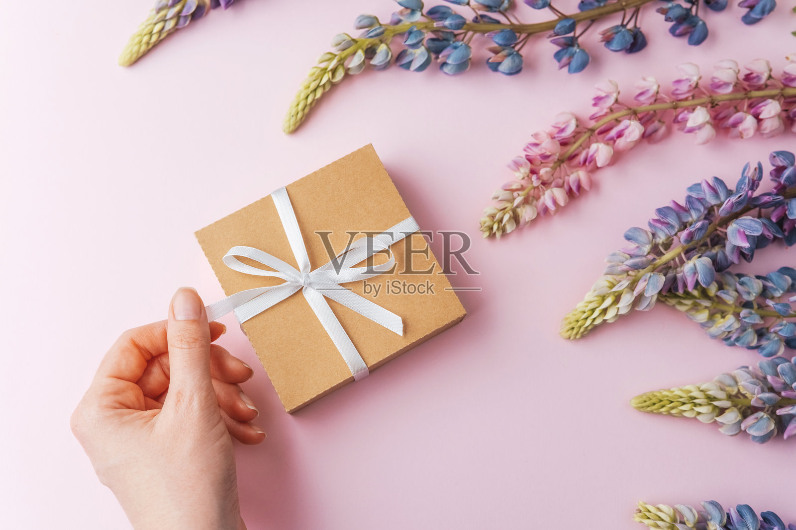 粉色背景上的礼品盒、丝带和紫花苜蓿花照片摄影图片