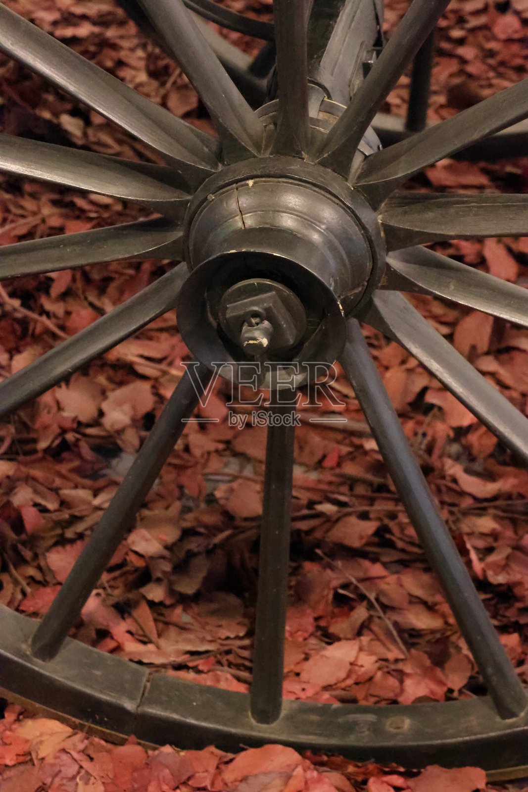 古董马车的特写镜头照片摄影图片