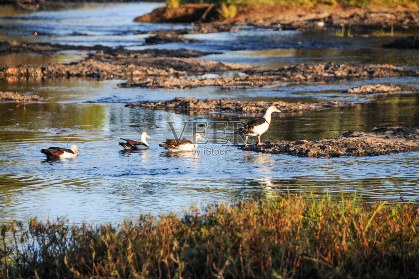 北昆士兰的粗犷内陆照片摄影图片
