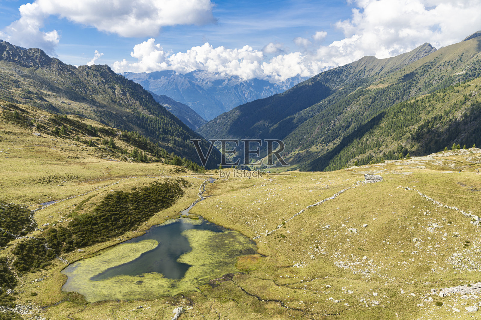 瓦尔塔尔塔诺的波尔奇莱湖,瓦尔泰利纳,奥罗比阿尔卑斯山照片摄影图片