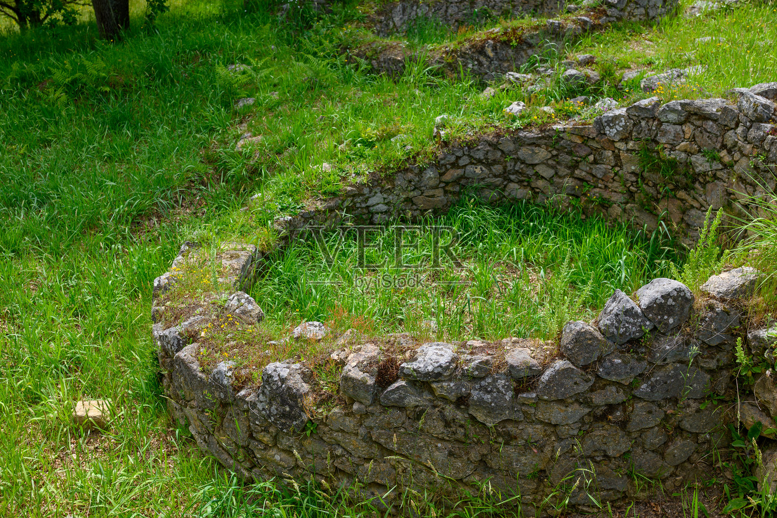 铁器时代圆形居住遗址的废墟。卡斯特罗·德·卡斯特罗马奥山堡,西班牙加利西亚。照片摄影图片