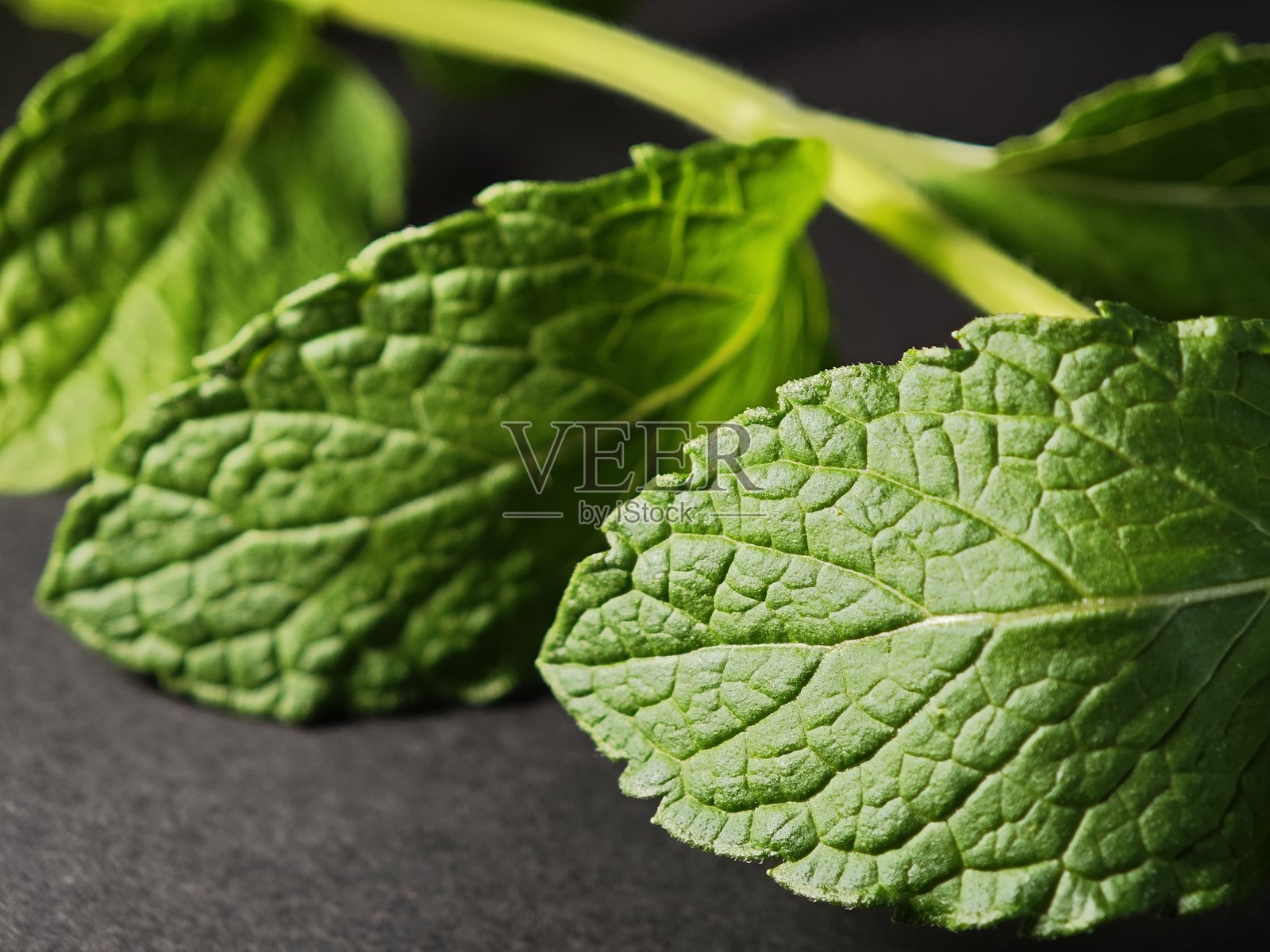 深色背景上的薄荷特写叶子,薄荷照片摄影图片