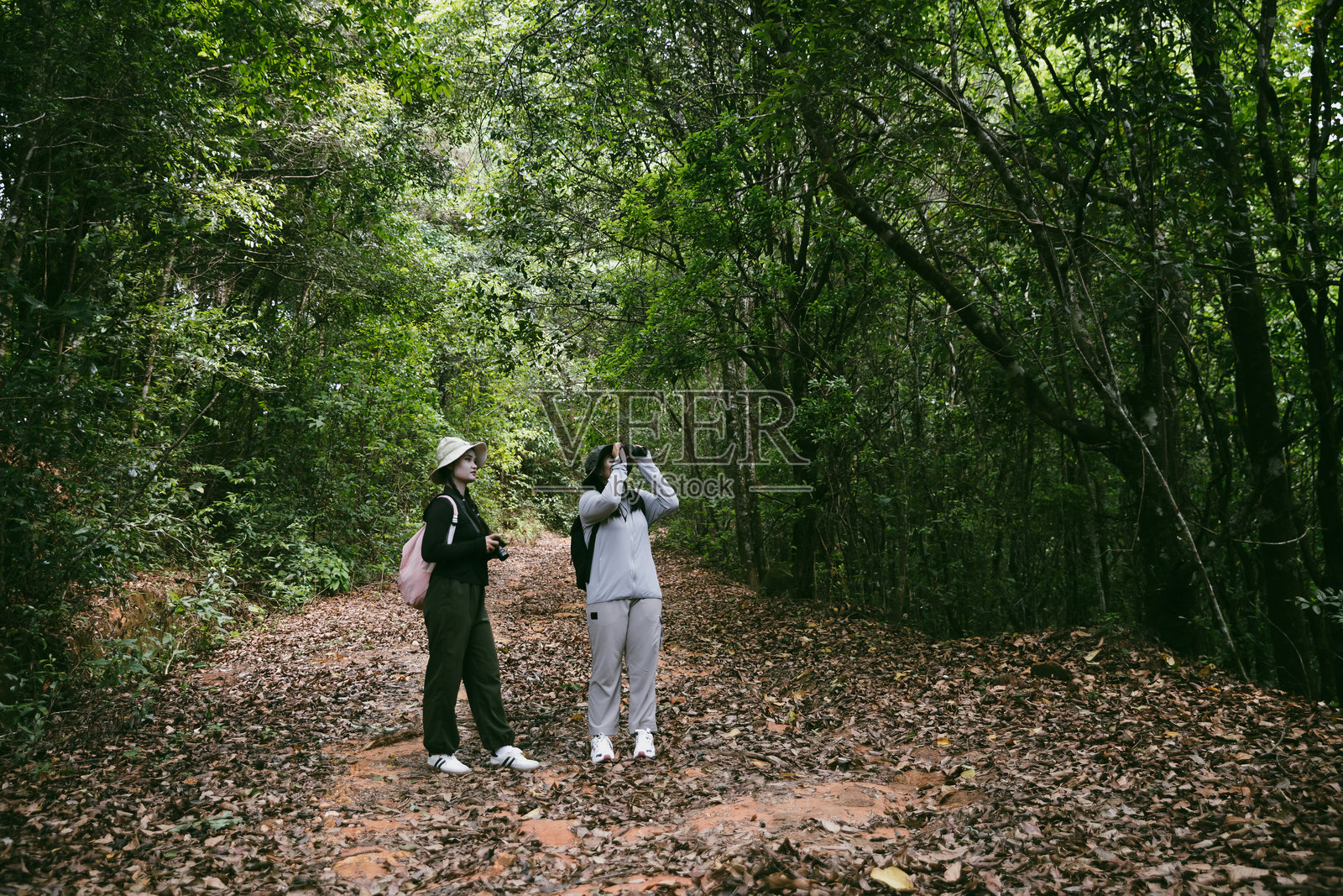 两个背着背包的女性朋友在乡村度假徒步旅行。亚洲女孩背包客在森林中一起旅行。她们在阳光明媚的日子里快乐地享受徒步旅行。照片摄影图片