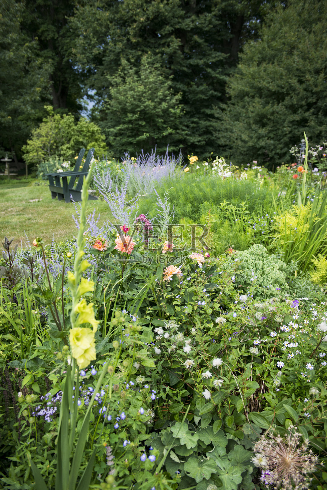 郁郁葱葱的夏季花园,野花与绿色长椅相映成趣照片摄影图片