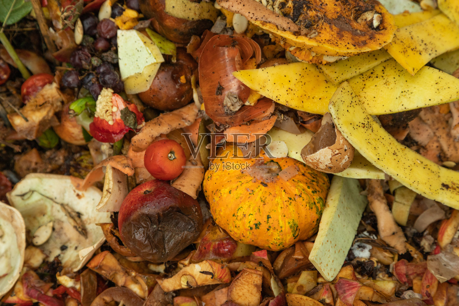 由有机食品、树叶、蔬菜和水果废料混合而成的堆肥堆照片摄影图片