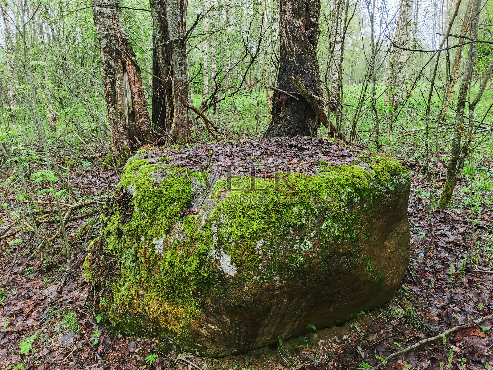 古老的异教石 - 祭坛照片摄影图片