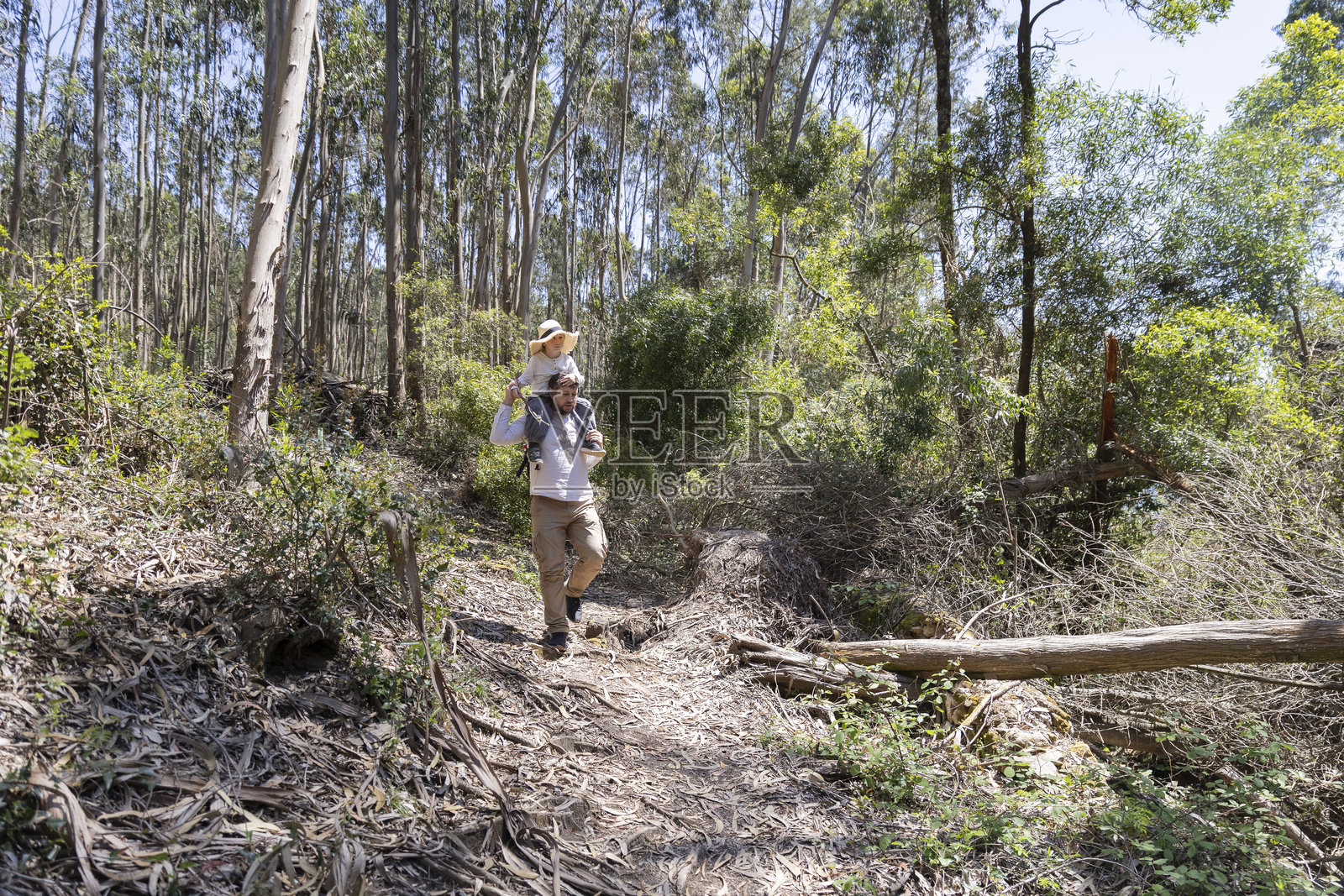 父亲背着孩子在森林小径上徒步旅行照片摄影图片