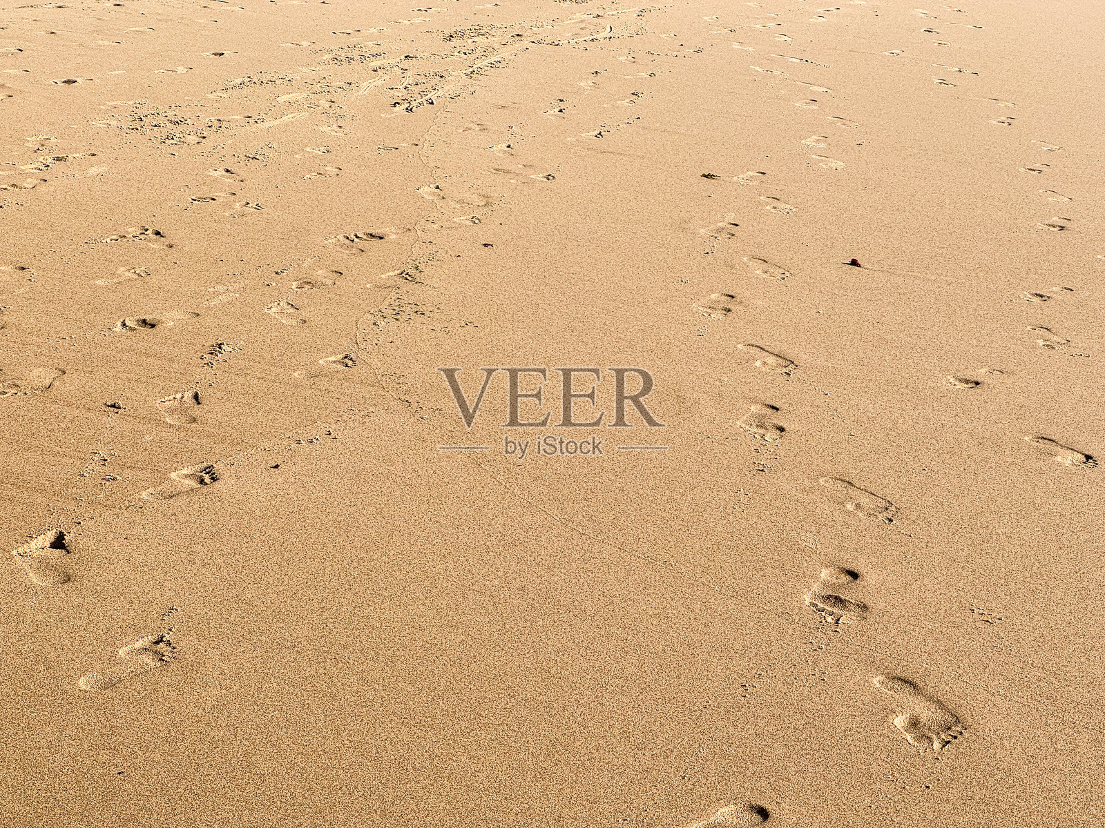 沙滩上有许多脚印照片摄影图片