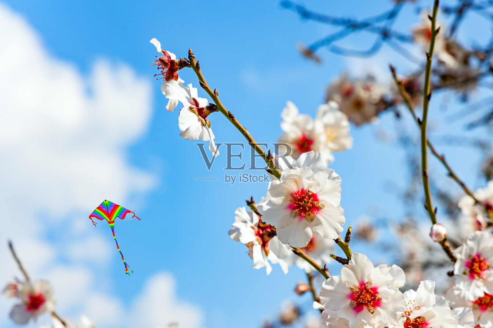 五彩斑斓的风筝在空中飞翔照片摄影图片