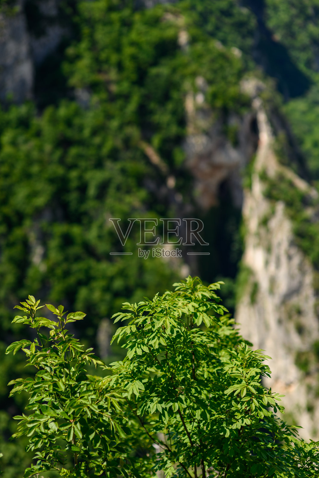 拉扎尔峡谷(Lazarev kanjon)的风景,位于东塞尔维亚的博尔市附近,是该地区最深、最长的峡谷。照片摄影图片