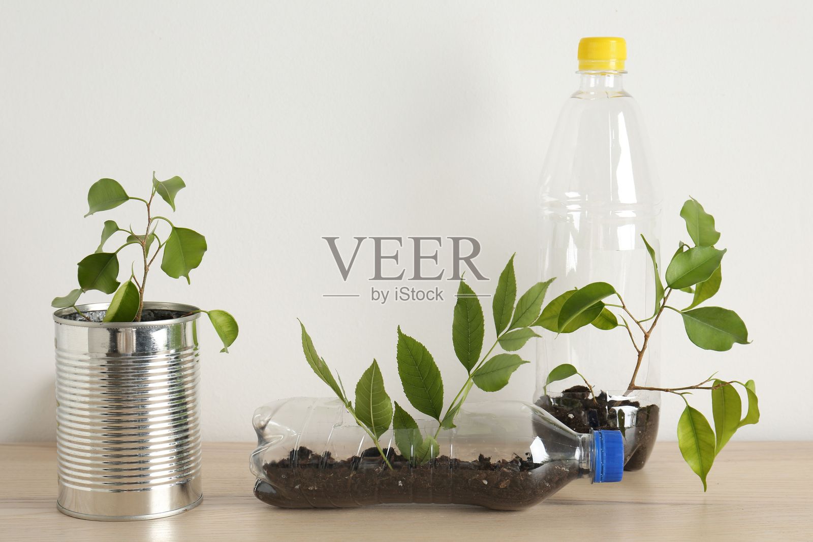 回收概念。木桌上放着金属罐和塑料瓶,上面有植物。照片摄影图片