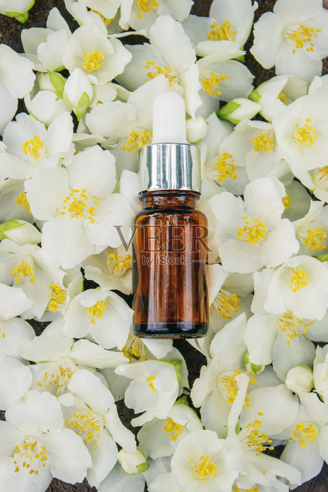 玻璃瓶中的茉莉花精油和茉莉花。油类。照片摄影图片