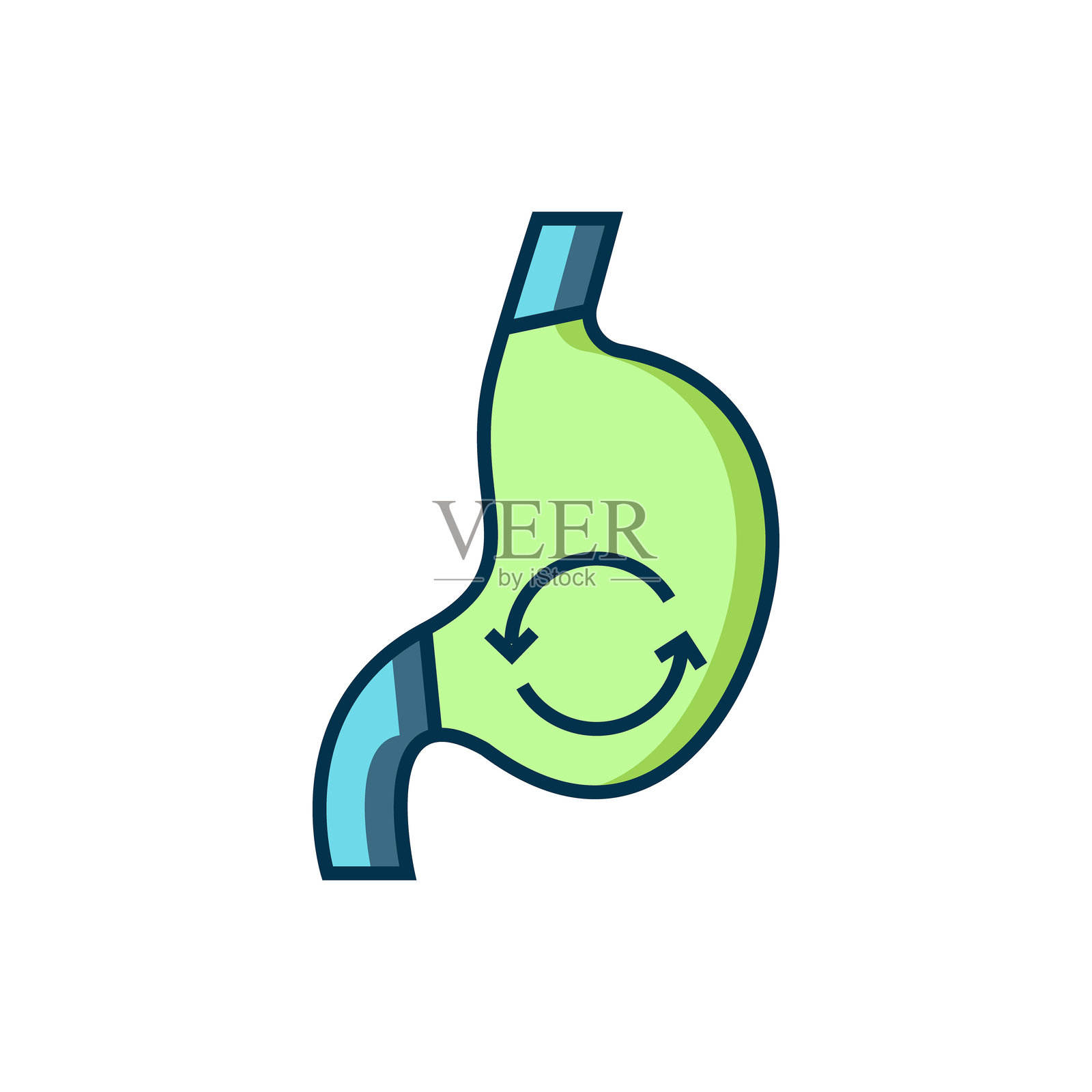 填充轮廓的人类胃健康图标,背景为白色。扁平填充轮廓风格,带有阴影。矢量图。插画图片素材