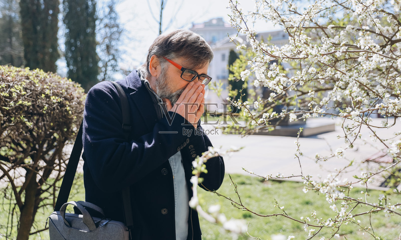春天,老年男子在盛开的树旁遭受过敏症状。照片摄影图片