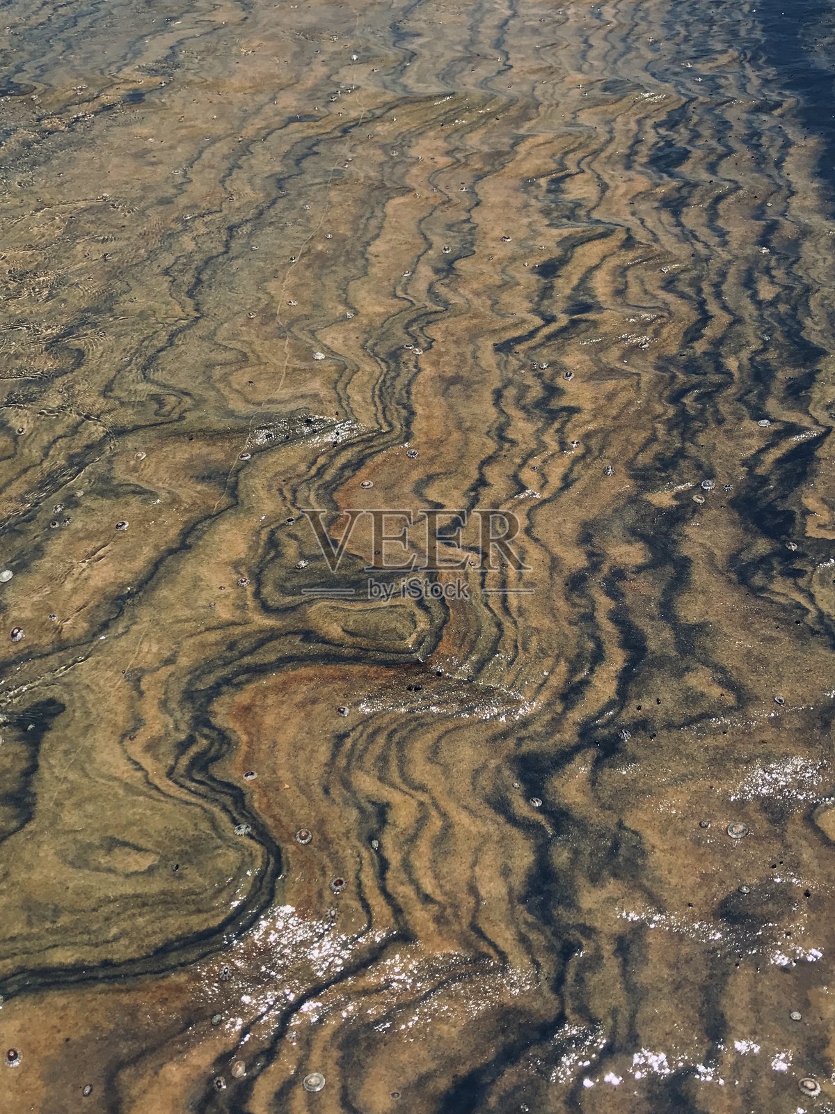 地球的低语:液体脉络照片摄影图片