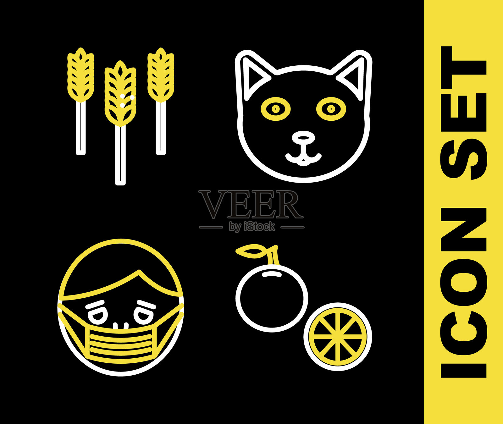 宠物图标,橙色水果,戴着防护口罩的脸和小麦图标。矢量图。插画图片素材