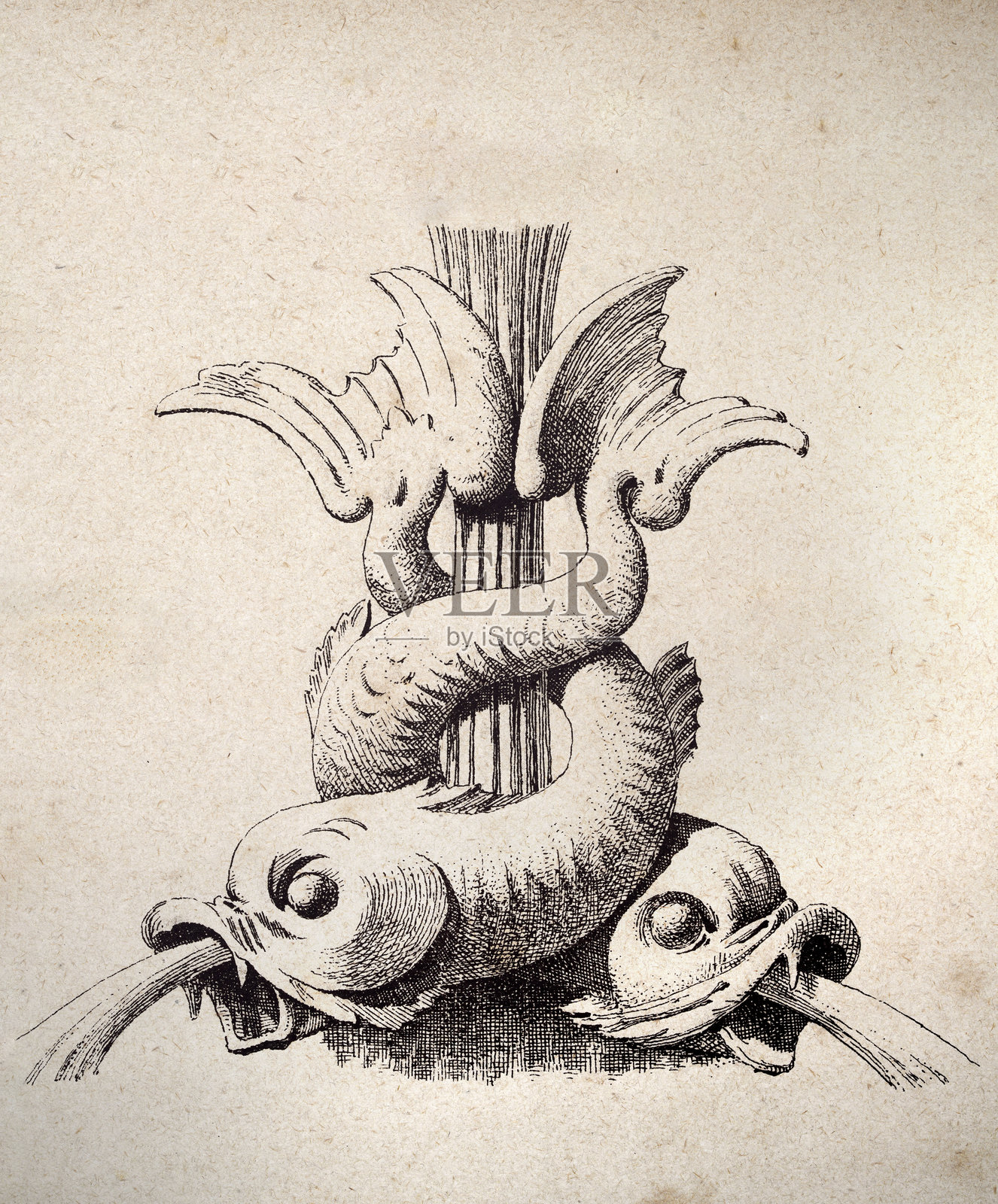 两条交缠的海豚建筑雕塑,嘴里喷出水,绘画,雕塑,装饰艺术,法式,复古插图,19世纪插画图片素材