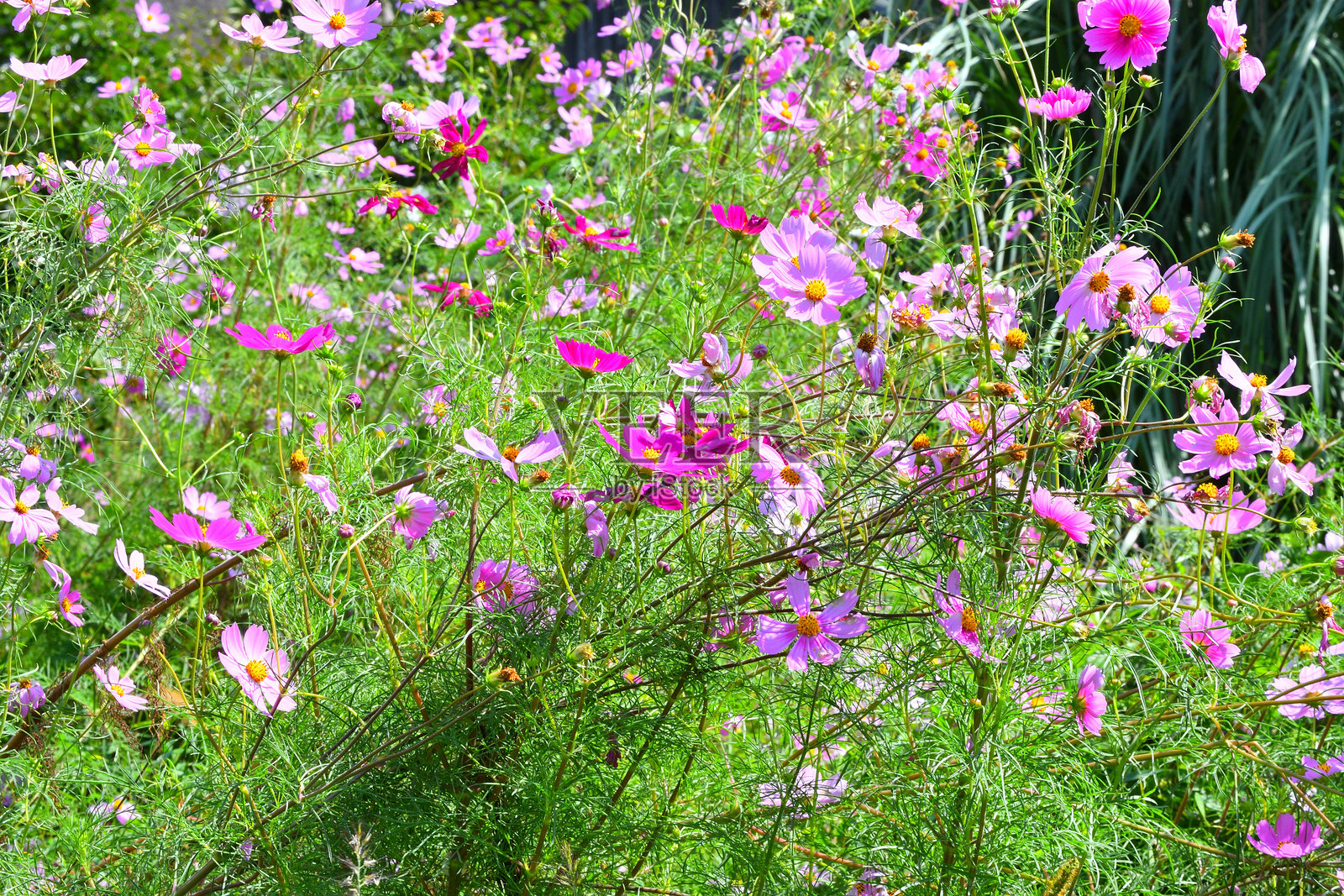 宇宙照片摄影图片