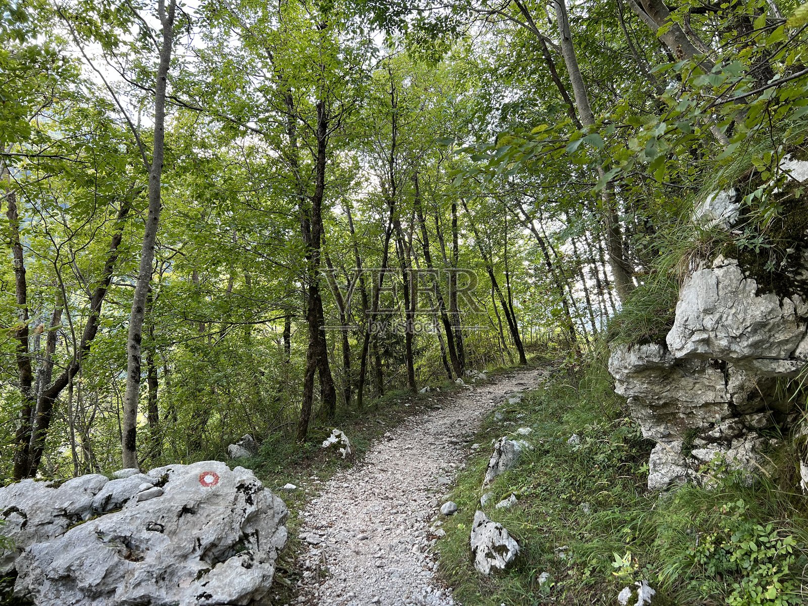 科里特尼察河峡谷中的徒步小径和标记,博韦茨(特里格拉夫国家公园,斯洛文尼亚)照片摄影图片