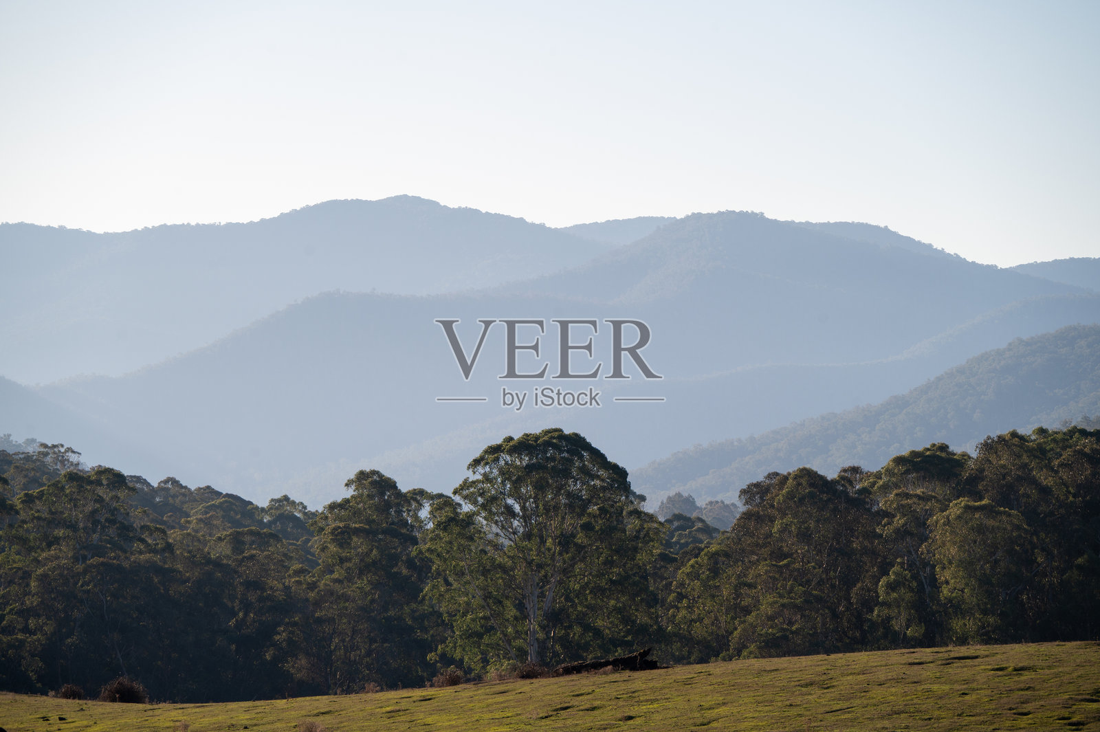 维多利亚州山区谷地的阳光照片摄影图片