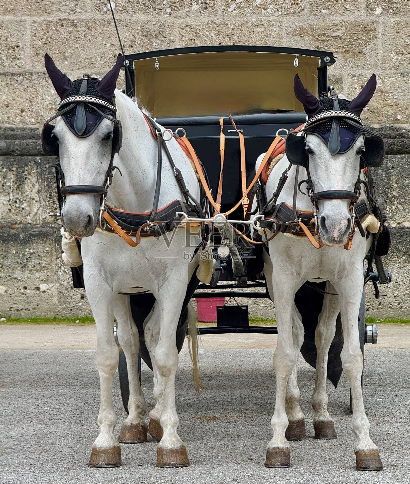 马车照片摄影图片