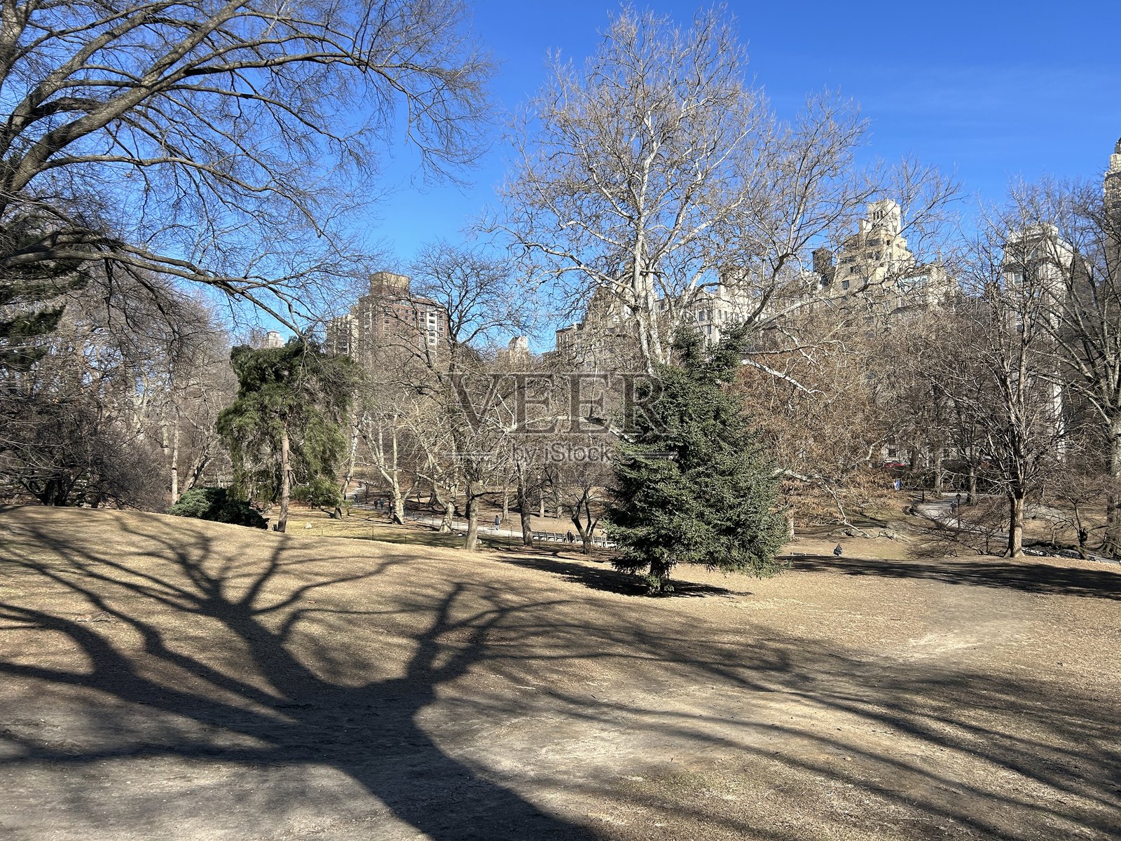 中央公园照片摄影图片