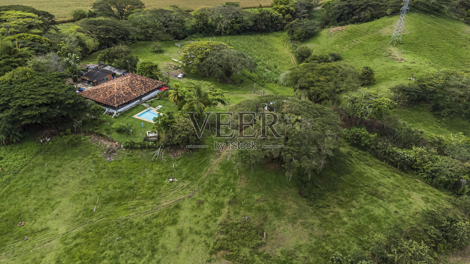 哥伦比亚的咖啡山脉照片摄影图片