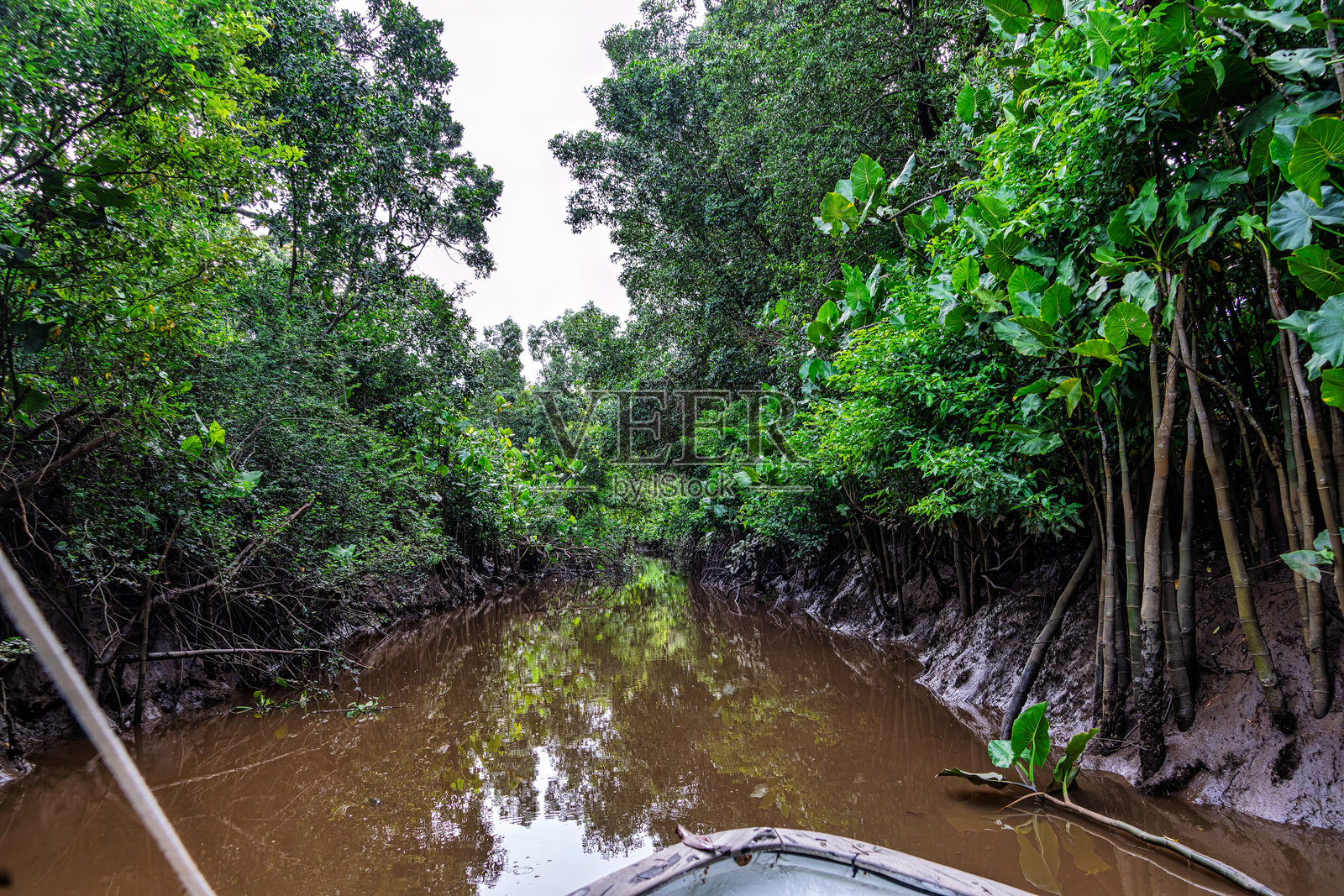 在巴西美洲三角洲的乌鲁布河进行船游,前往加那利群岛。照片摄影图片