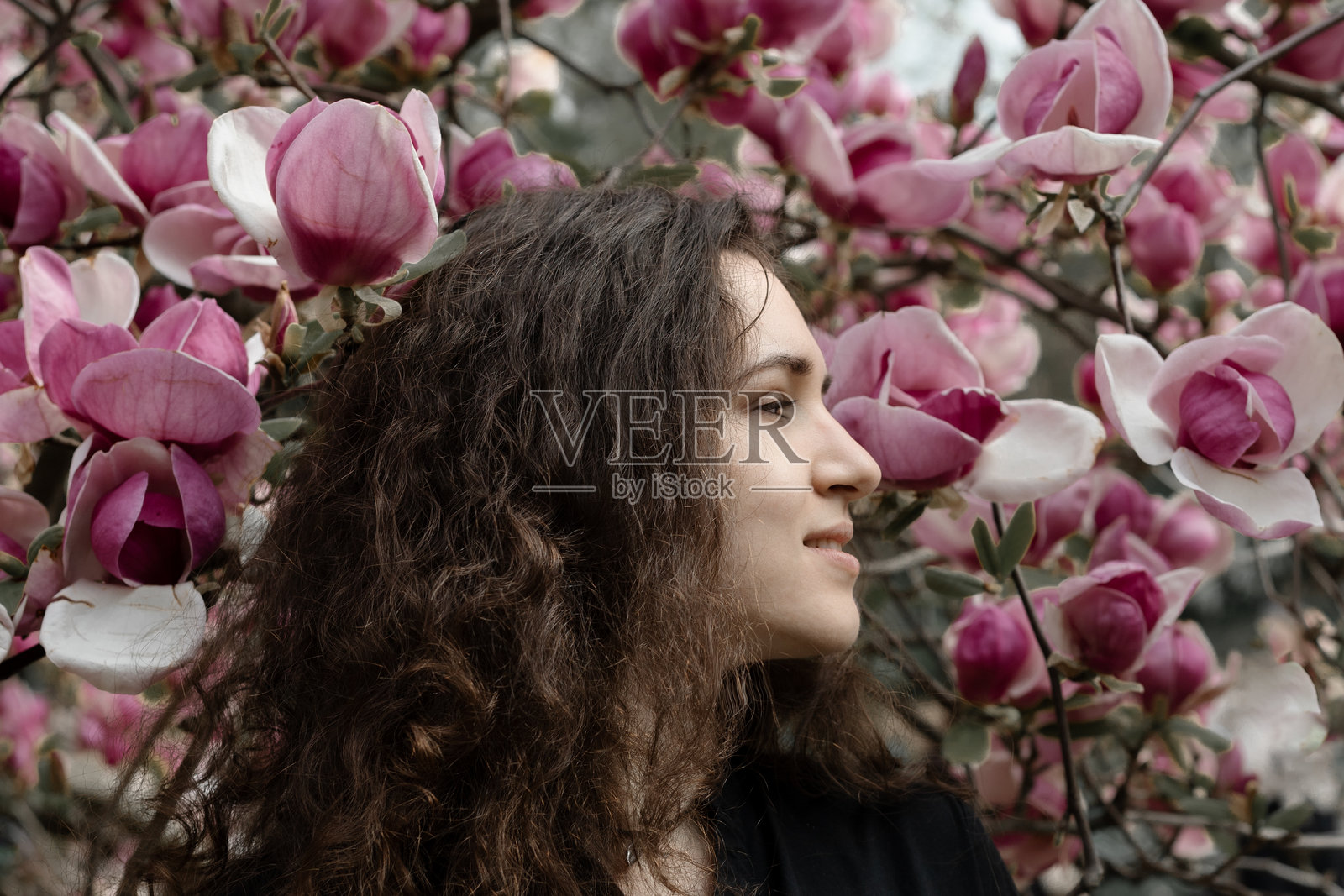 年轻女性在粉色玉兰花中照片摄影图片