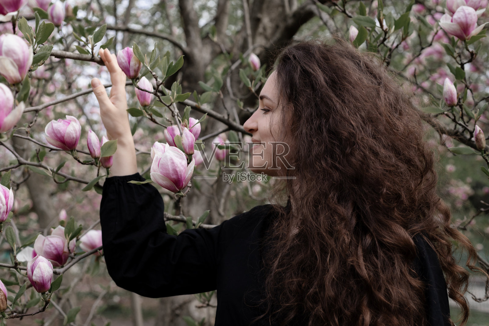 年轻女性触摸树上的玉兰花照片摄影图片