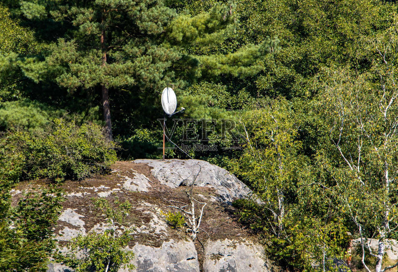 一个卫星天线安装在森林中的岩石顶部照片摄影图片