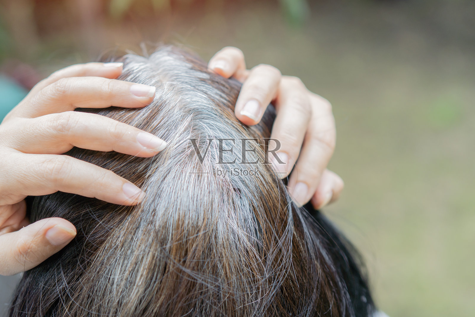 年轻人后视,显示头部黑色的白发根部。照片摄影图片