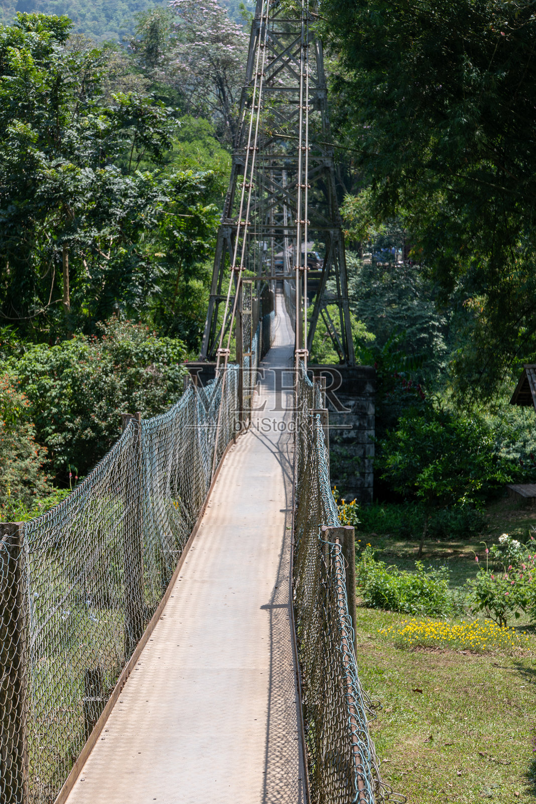 康提佩拉德尼亚植物园的悬索桥照片摄影图片