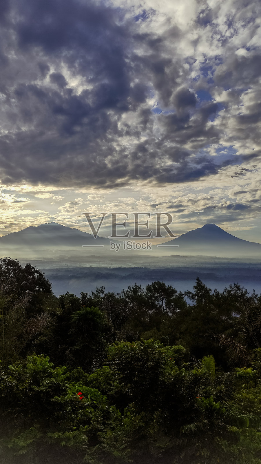 梅拉皮梅尔巴布照片摄影图片