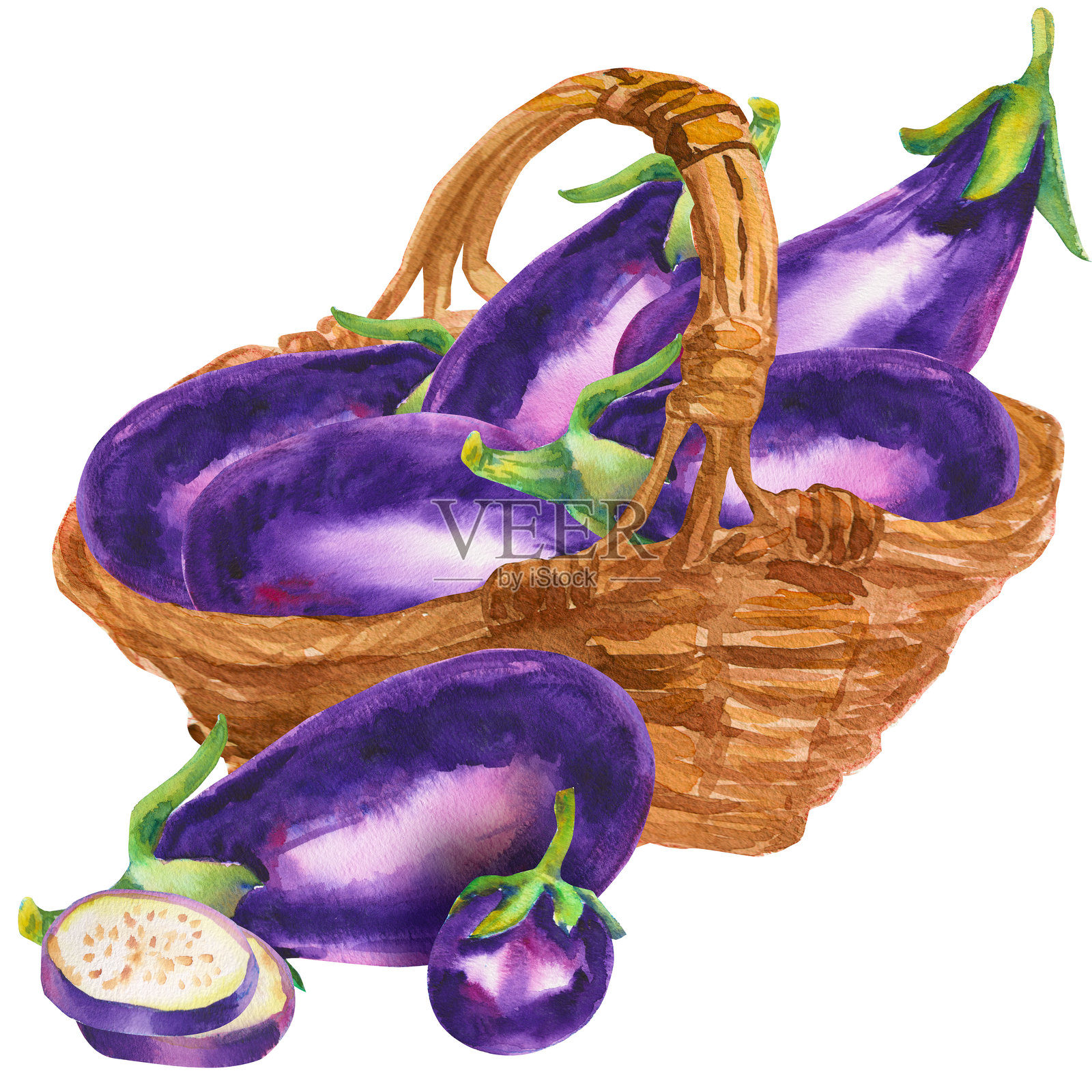 明亮的水彩茄子或紫茄子放在一个棕色的柳条篮子里,背景为白色。植物插图展示了蔬菜。秋季丰收。新鲜的素食食品。感恩节贺卡。插画图片素材