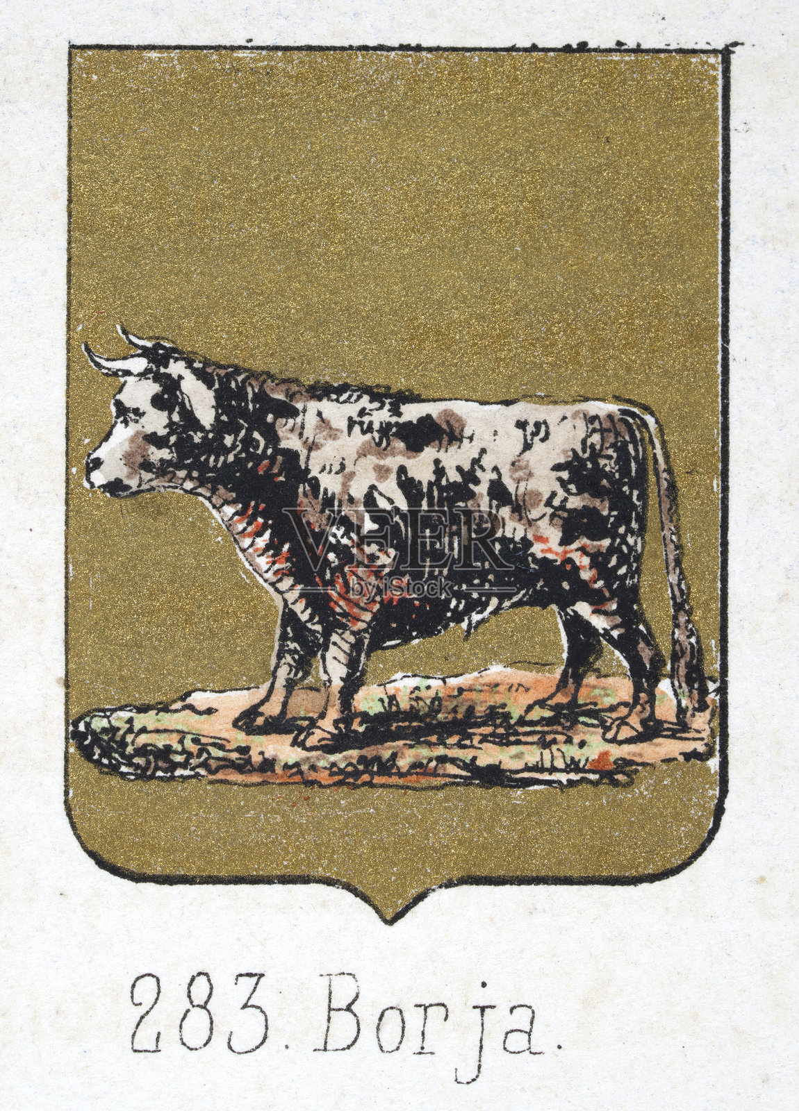 中世纪纹章,纹章,带有公牛的盾牌,金色,西班牙,复古插图插画图片素材