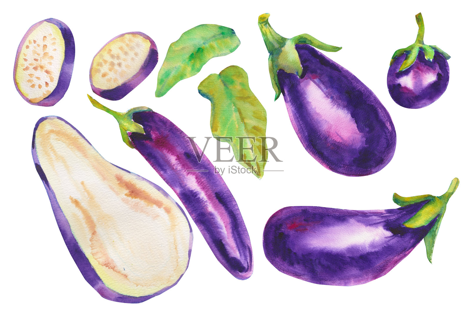 茄子水彩画套装,孤立在白色背景上。秋季丰收。新鲜的素食。感恩节贺卡。适合烹饪设计、食谱、健康饮食或有机食品品牌。插画图片素材