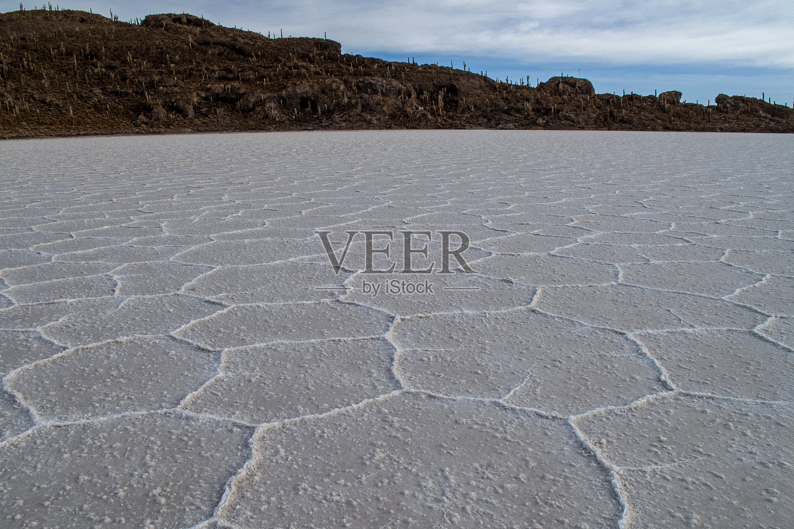 玻利维亚的佩斯卡多岛照片摄影图片