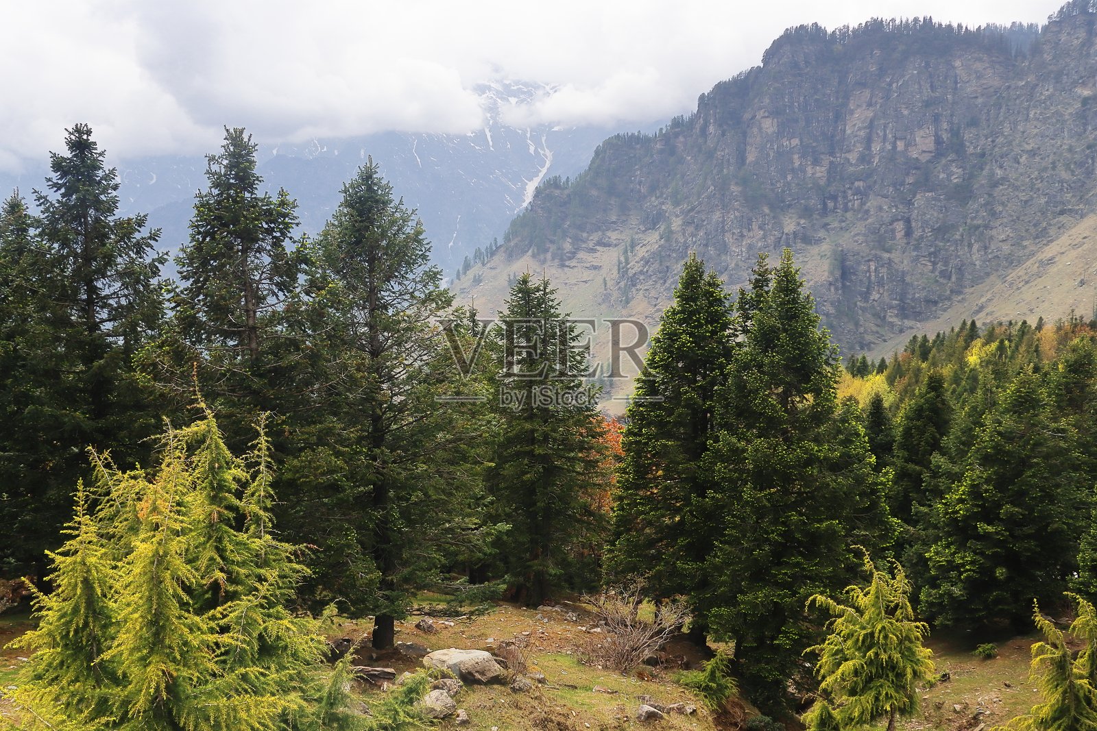 喜马拉雅山的荒野和位于古拉巴观景点附近的美丽山景,印度喜马偕尔邦的著名旅游胜地马纳利山站。照片摄影图片
