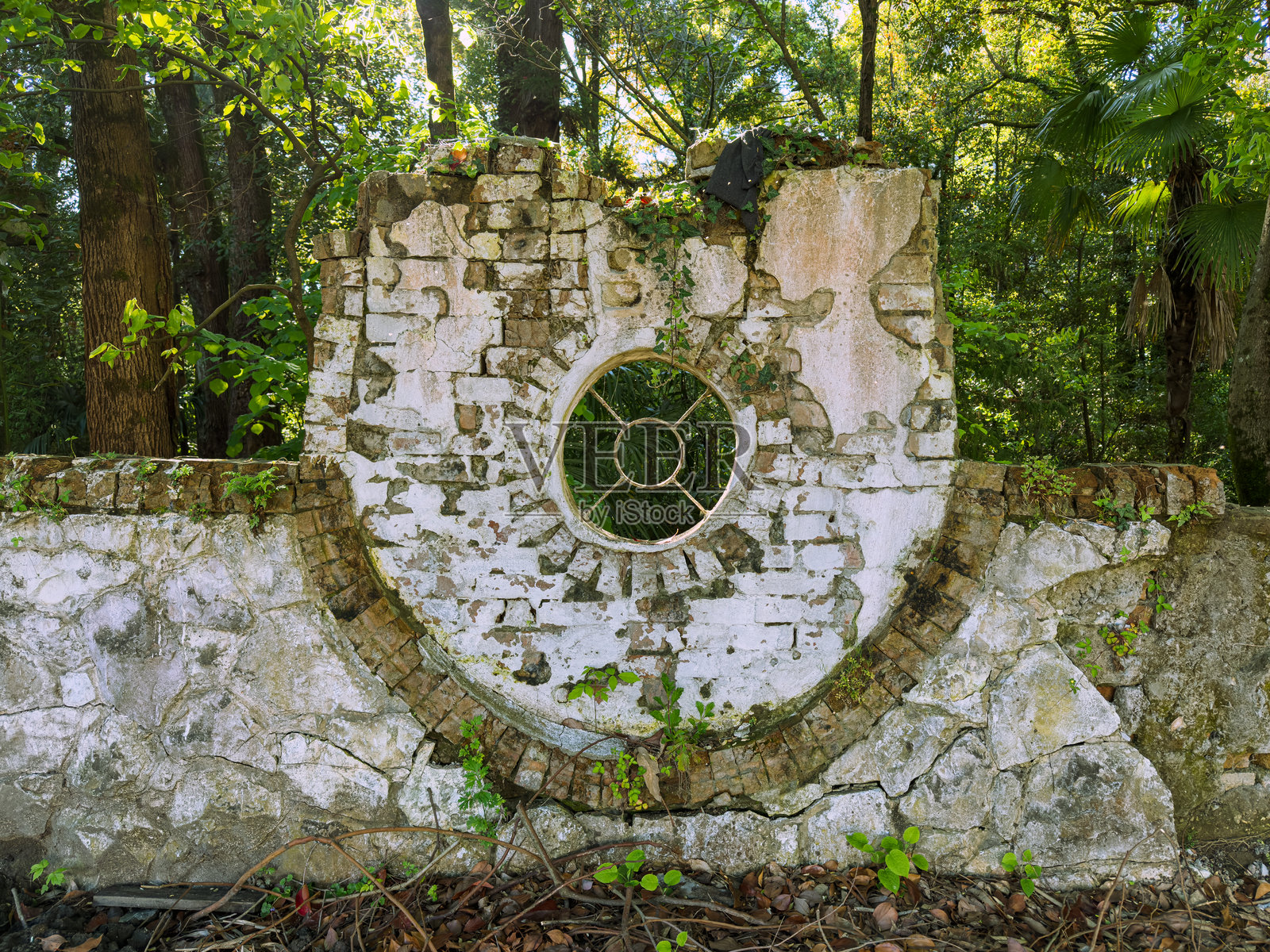 巴图米,阿贾拉的历史遗迹被郁郁葱葱的自然环绕照片摄影图片