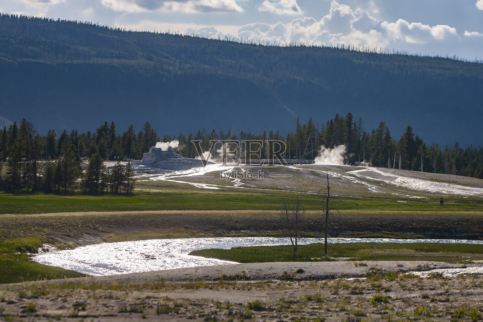 黄石国家公园上间歇泉盆地 1照片摄影图片