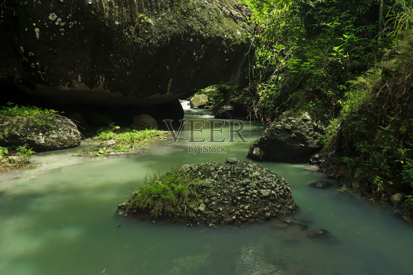热带森林中的宁静河流小溪照片摄影图片